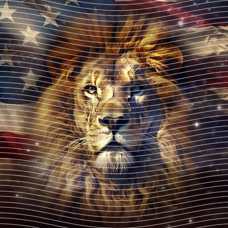 20oz integrate-EJ-10637